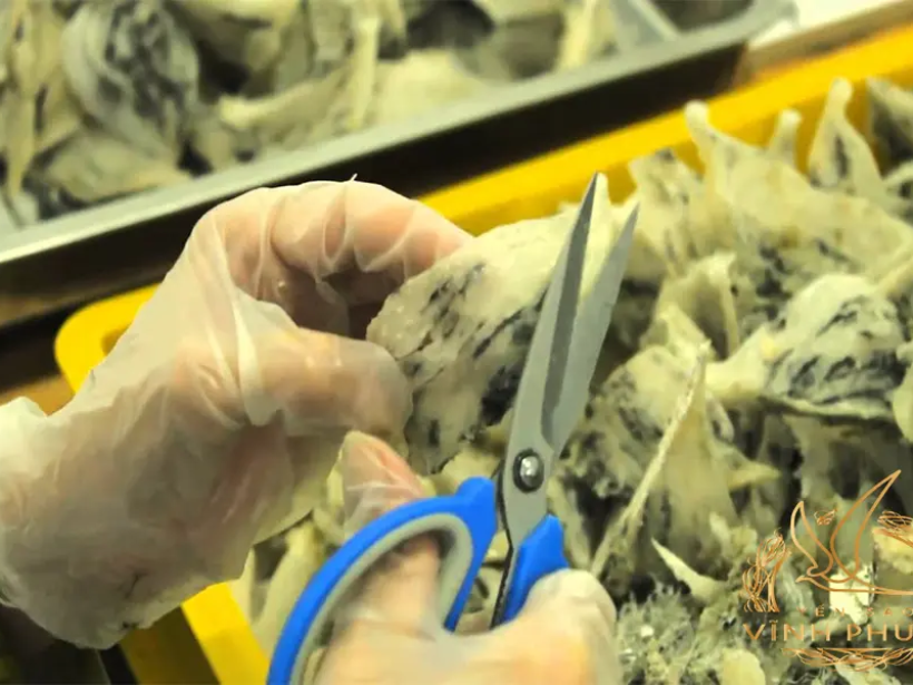 04-ma-tran-yen-sao-yensaovinhphuoc