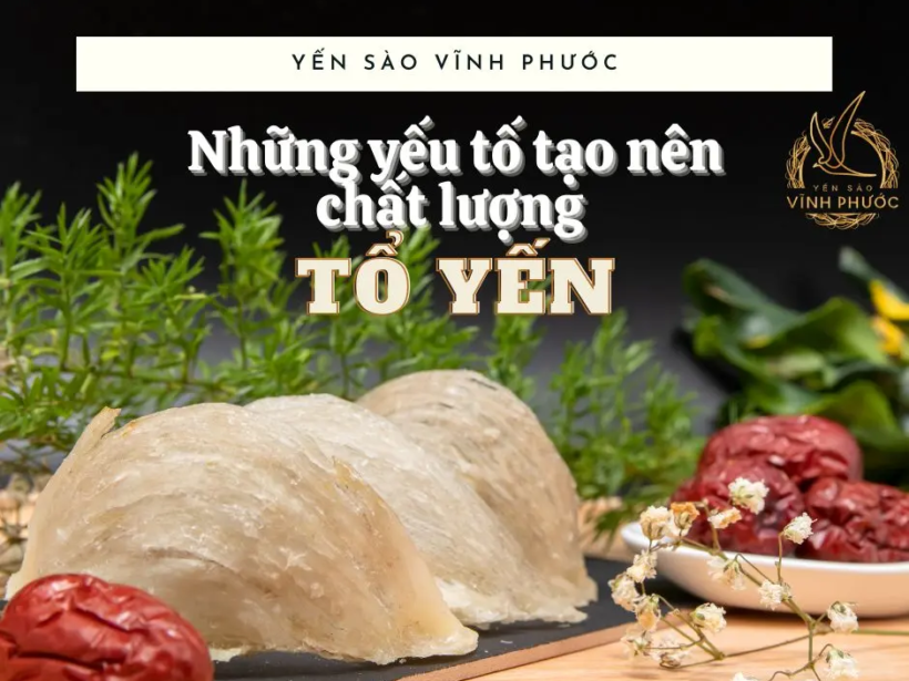 Những yếu tố tạo nên chất lượng tổ yến. yensaovinhphuoc.vn