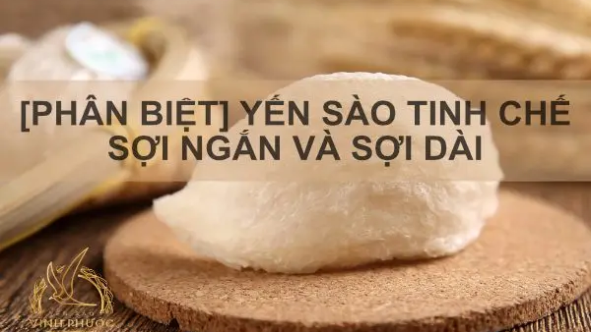 phan-biet-yen-sao-soi-ngan-dai-yensaovinhphuoc