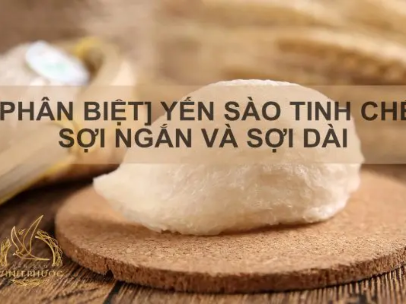 phan-biet-yen-sao-soi-ngan-dai-yensaovinhphuoc