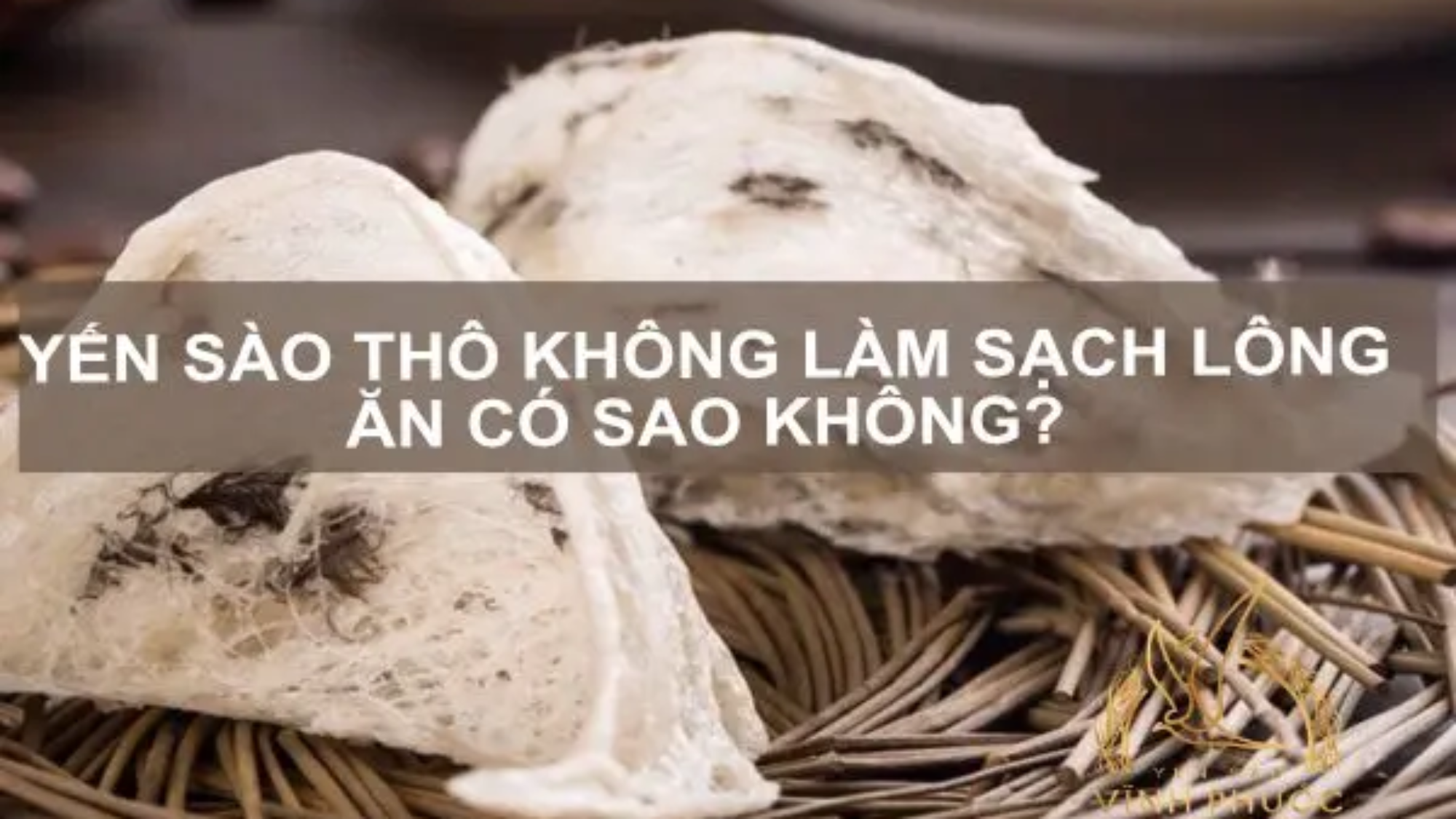 yen-sao-con-long-an-co-sao-khong-yensaovinhphuoc