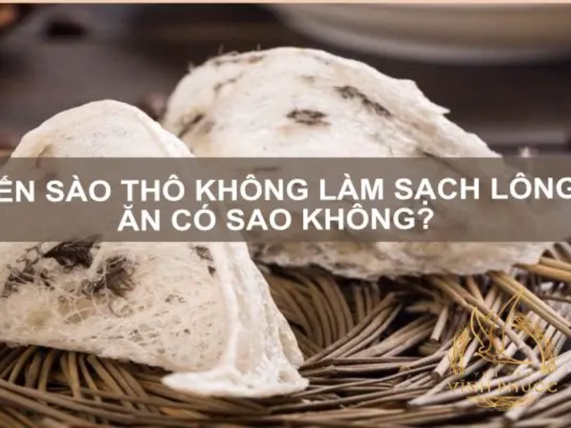 yen-sao-con-long-an-co-sao-khong-yensaovinhphuoc