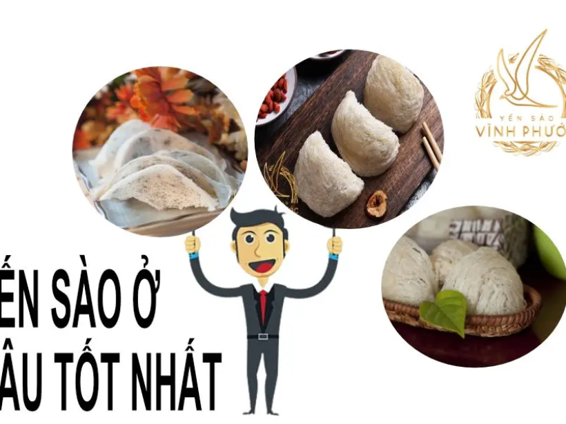 yen-sao-o-dau-tot-nhat-yensaovinhphuoc