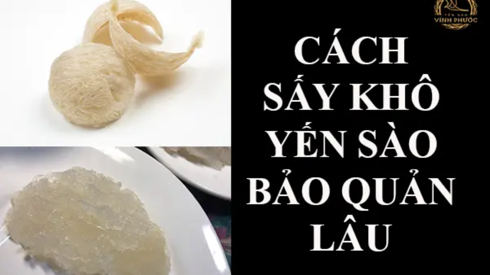 cách_sấy_khô_yến_sào_bả_quản_ lâu_yensaovinhphuoc