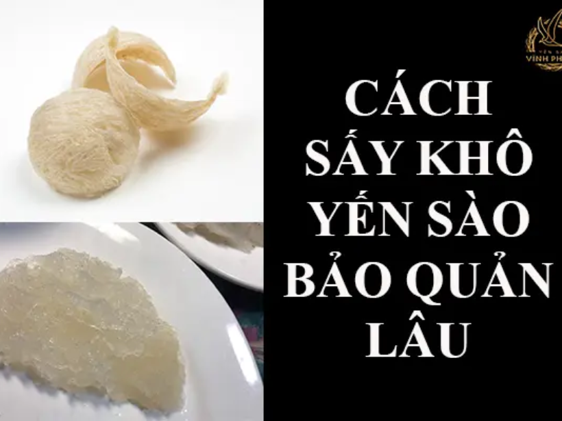 cách_sấy_khô_yến_sào_bả_quản_ lâu_yensaovinhphuoc
