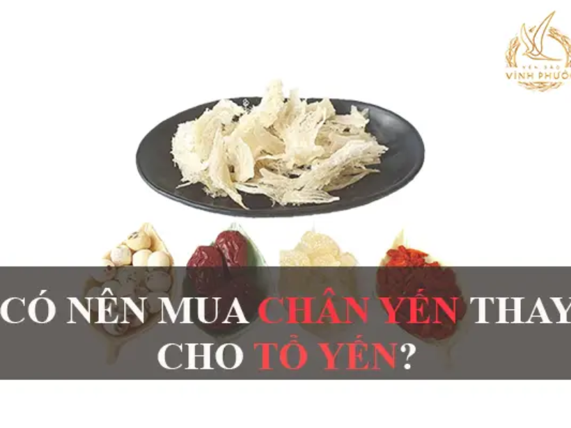 chân yến và tổ yến_yensaovinhphuoc
