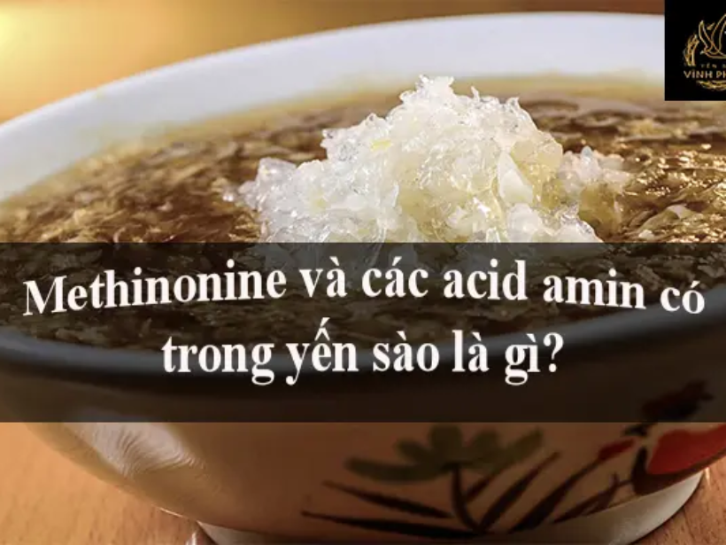 methionine_acid_amin_trong_yen_sao_yensaovinhphuoc