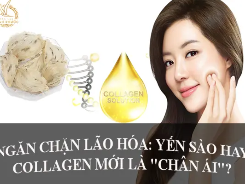 yến_sào_collagen_ngăn_chặn_lão_hóa_yensaovinhphuoc