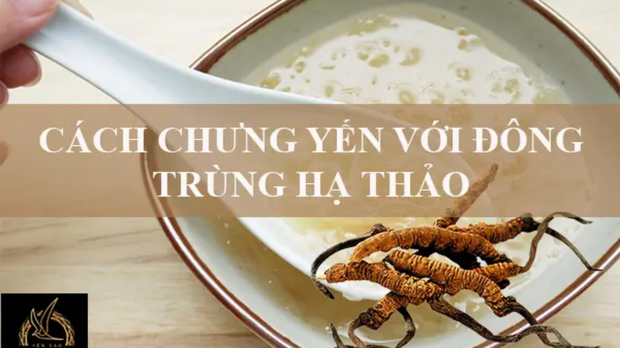 yến_sào_đông_trùng_hạ_thảo_yensaovinhphuoc