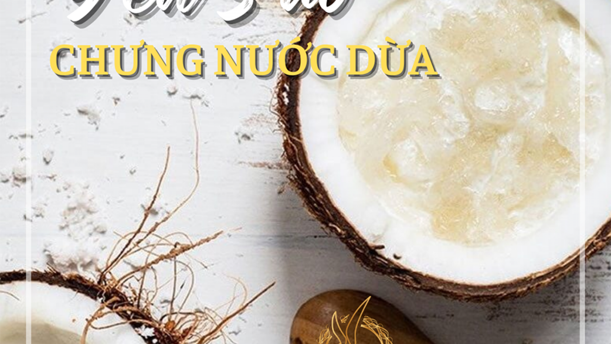 Yến Sào Chưng Nước Dừa - Yensaovinhphuoc.vn
