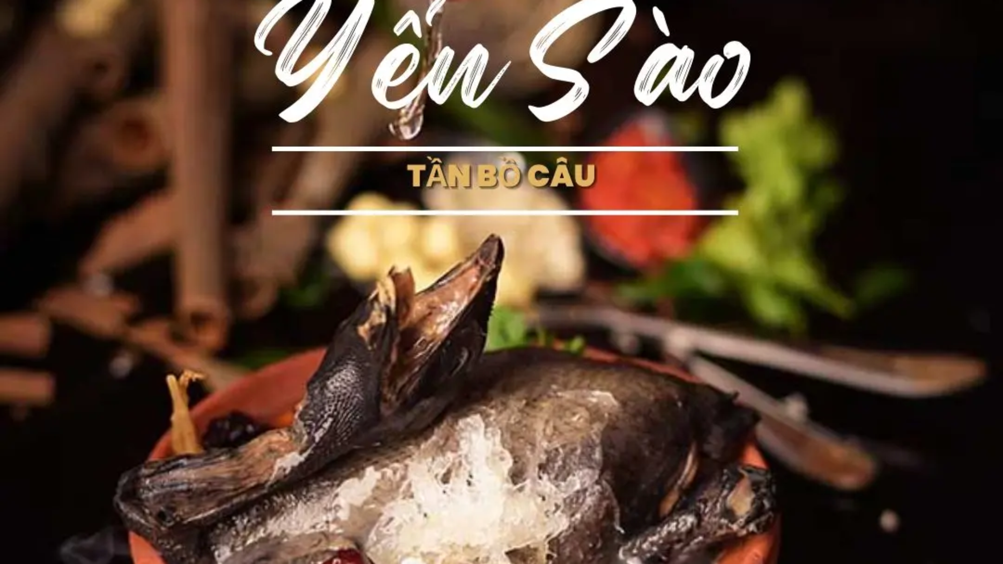yến sào tiềm gà ác thuốc bắc - Yensaovinhphuoc.vn