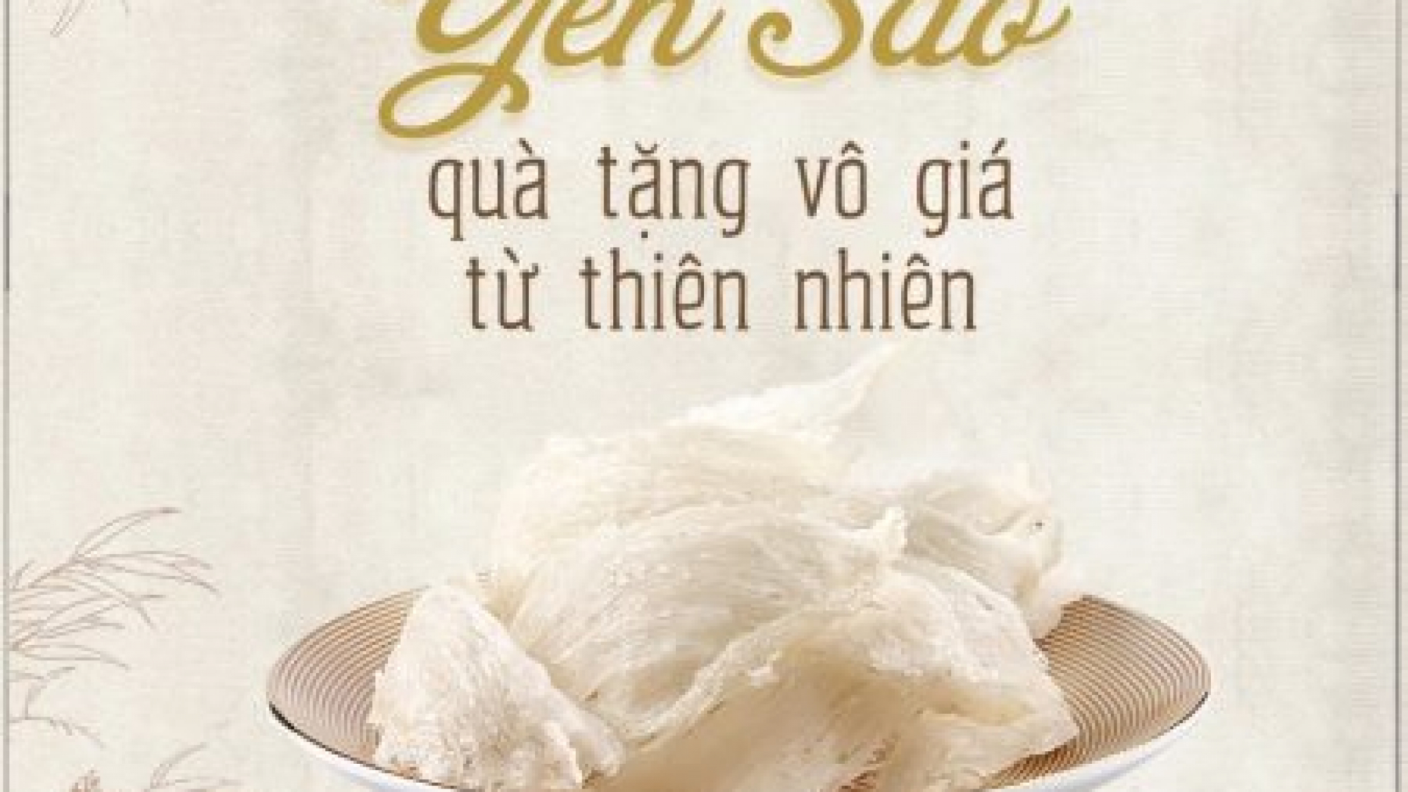Bật mí 5 công dụng của Proline đối với sức khỏe - yensaovinhphuoc (2)