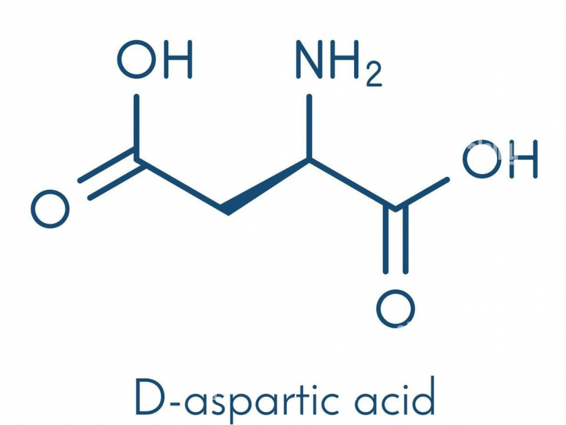 Công dụng của Aspartic Acid - yensaovinhphuoc (1)