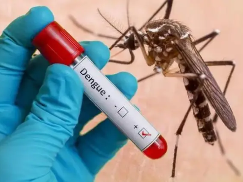 Sốt xuất huyết nên ăn gì - yensaovinhphuoc (1)