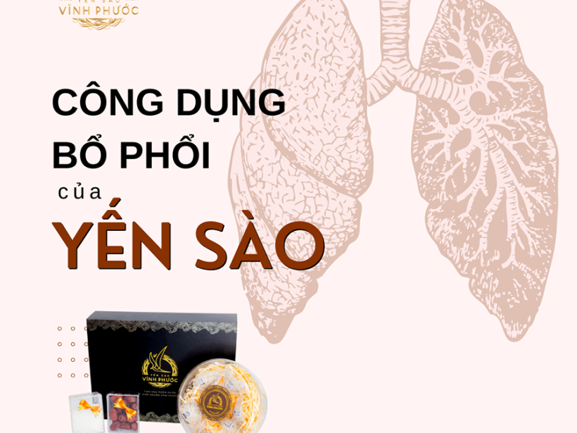 Công dụng bổ phổi của yến sào - yensaovinhphuoc.vn