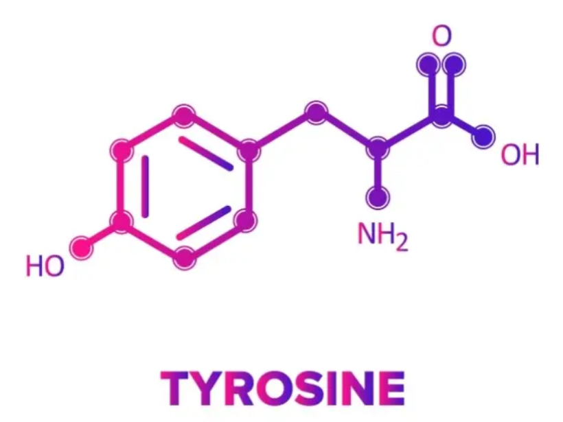 Khám phá công dụng của tyrosine đối với cơ thể - yensaovinhphuoc (3)