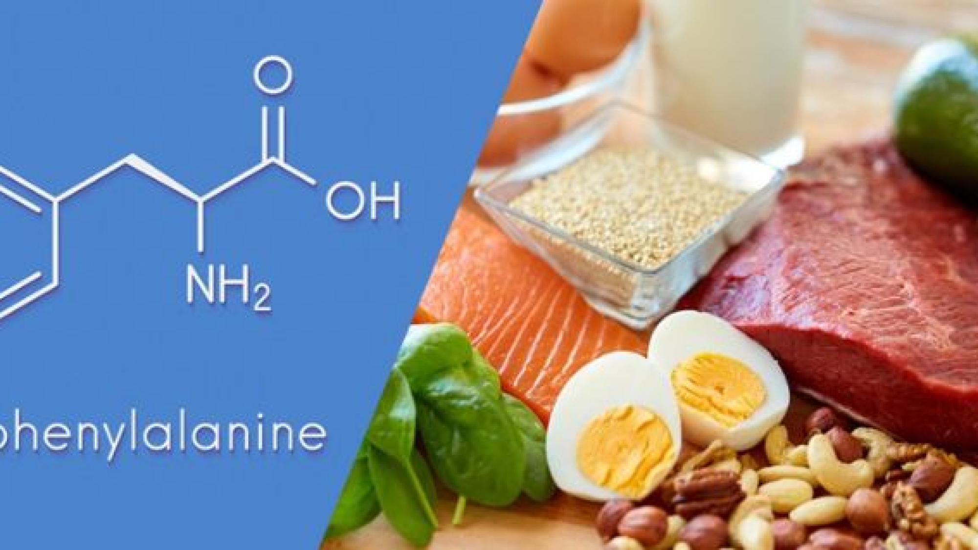 Phenylalanine có công dụng như thế nào đối với sức khỏe con người - yensaovinhphuoc (2)