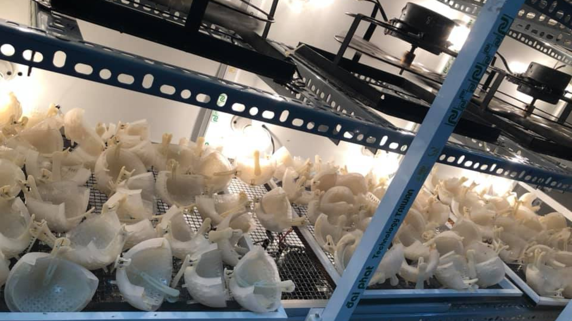 Phương pháp sấy khô yến sào đơn giản, dễ thực hiện tại nhà - yensaovinhphuoc (1)