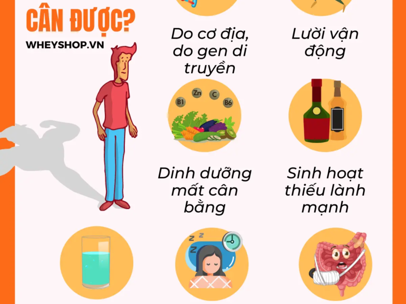 an-yen-sao-nhu-the-nao-de-tang-cam-yensaovinhphuoc