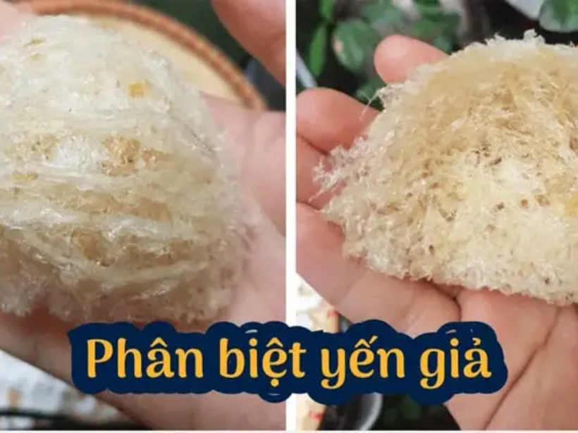 to-yen-tho-co-bi-lam-gia-khong-dau-hieu-nhan-biet-yensaovinhphuoc.vn