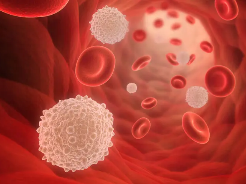 tieu-cau-thap-nen-abo-sung-thuc-pham-nao-và-lam-sao-de-phong-ngua-yensaovinhuoc.vn