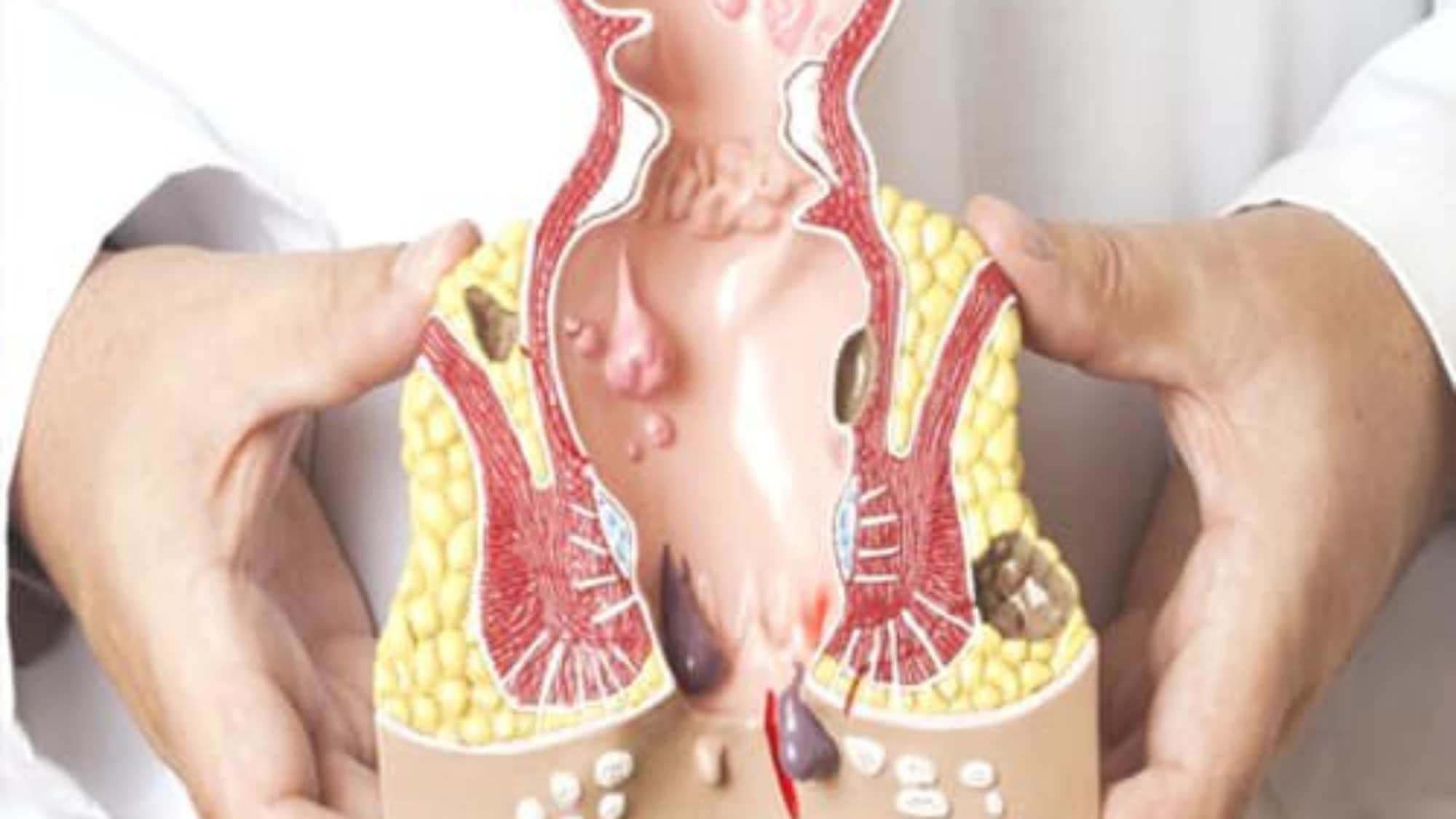 Phuong-phap-chua-benh-tri-tai-anh-an-toan-hieu-qua-yen-sao-yensaovinhphuoc (1)