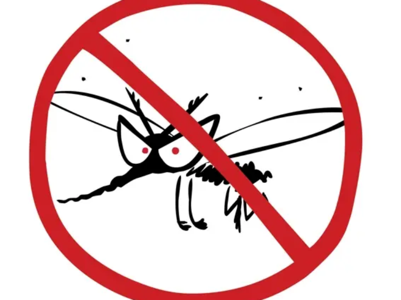 cach-phong-chong-benh-sot-ret-hieu-qua-yensaovinhphuoc.vn