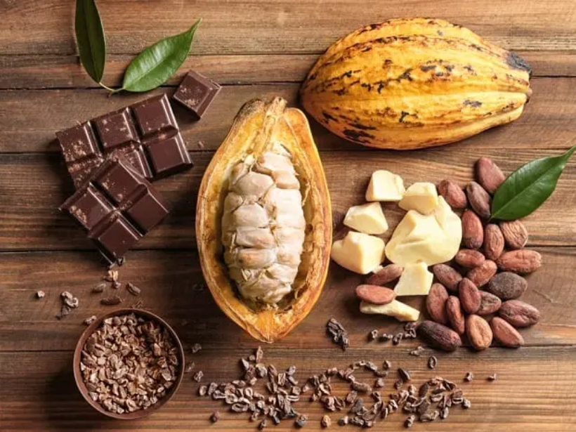 loi-ich-cua-cacao-doi-voi-suc-khoe-yensaovinhphuoc.vn