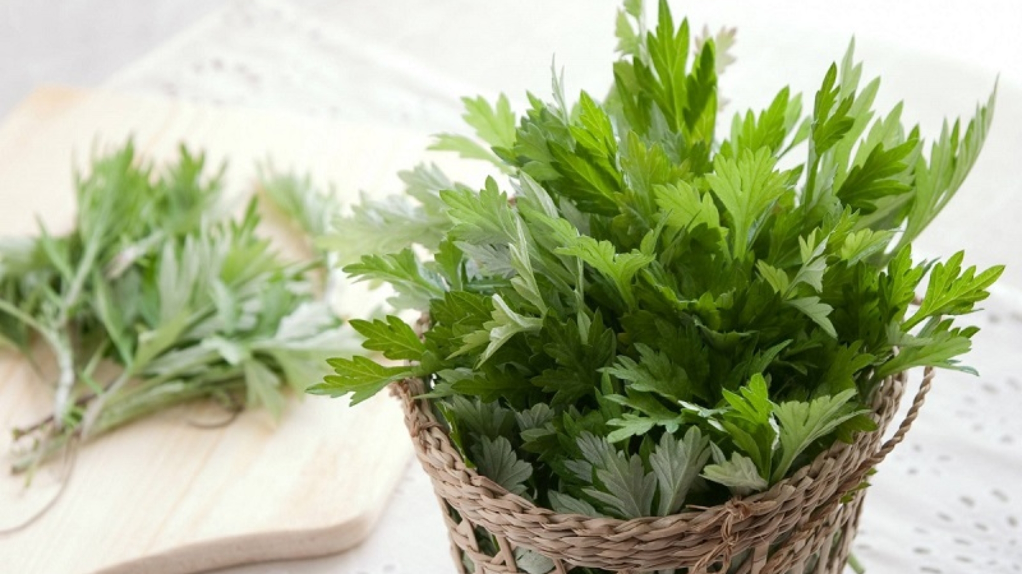 tac-dung-cua-ngai-cuu-tri-viem-khop-yensaovinhphuoc (1)