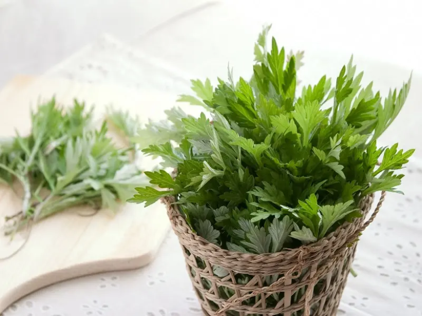 tac-dung-cua-ngai-cuu-tri-viem-khop-yensaovinhphuoc (1)