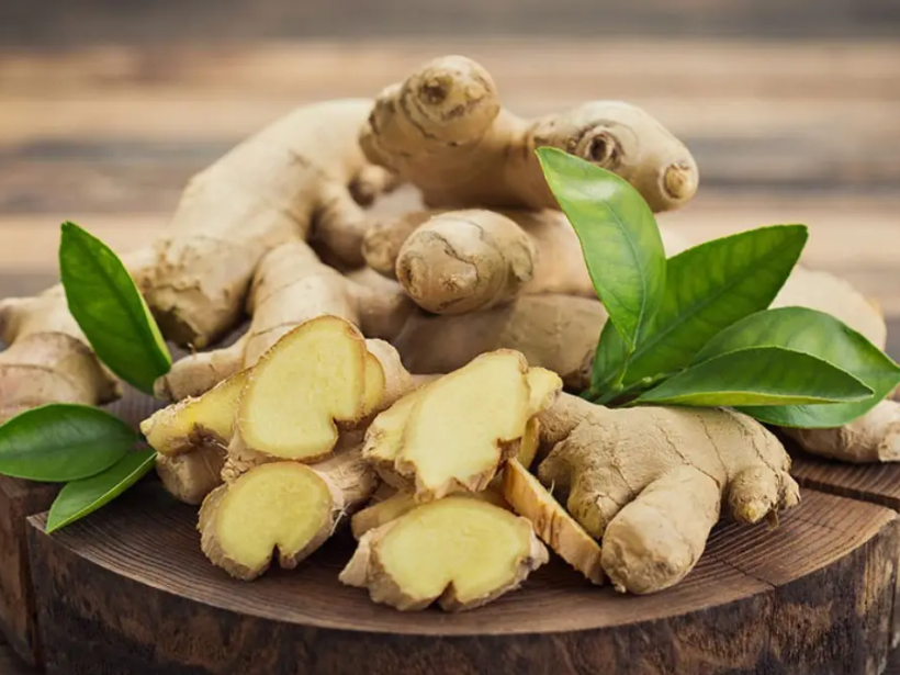 cong-dung-cua-nuoc-gung-tuoi-voi-suc-khoe-yensaovinhphuoc.vn