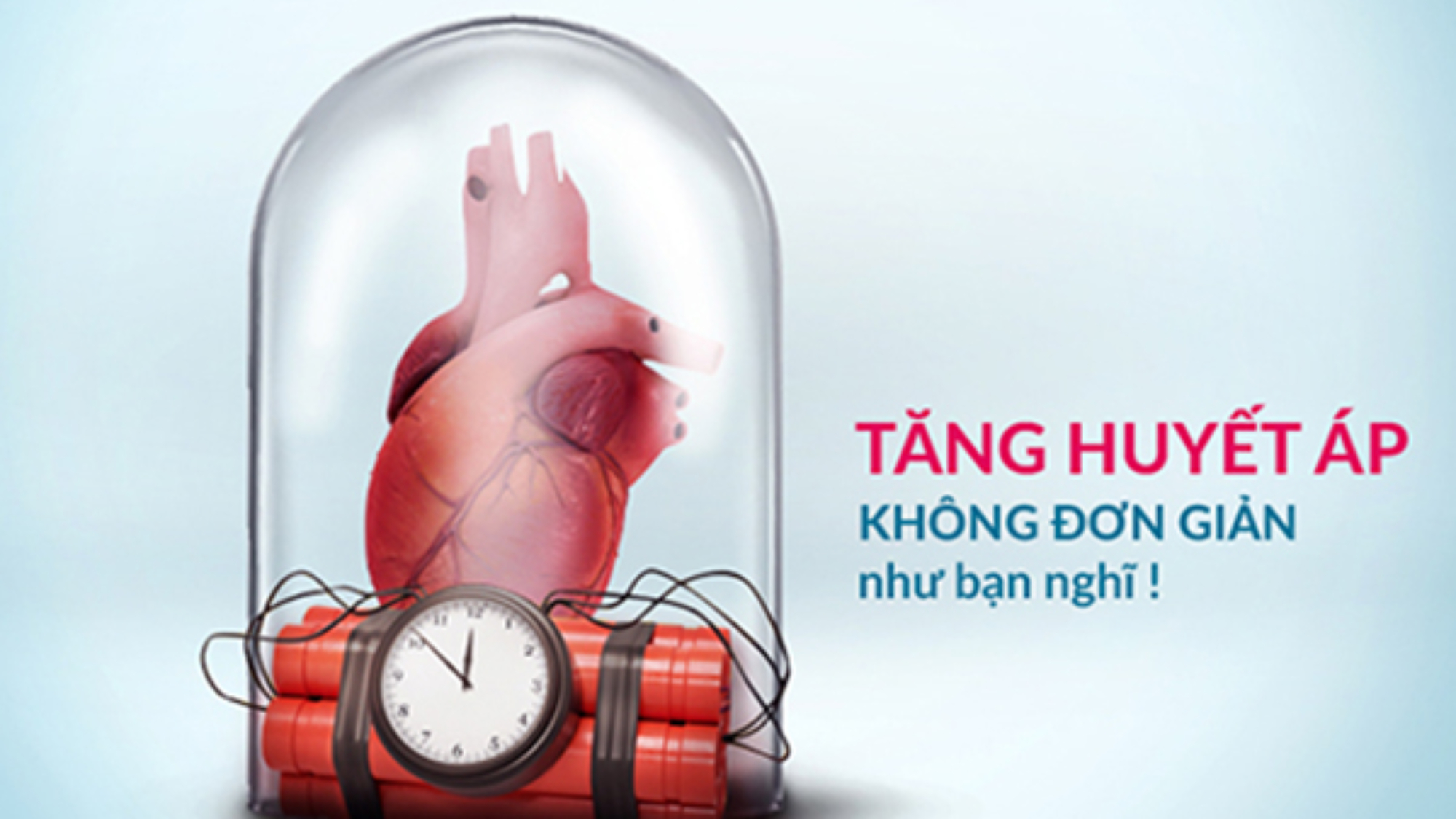 thuc-pham-ho-tro-on-dinh-huyet-ap-yensaovinhphuoc (2)