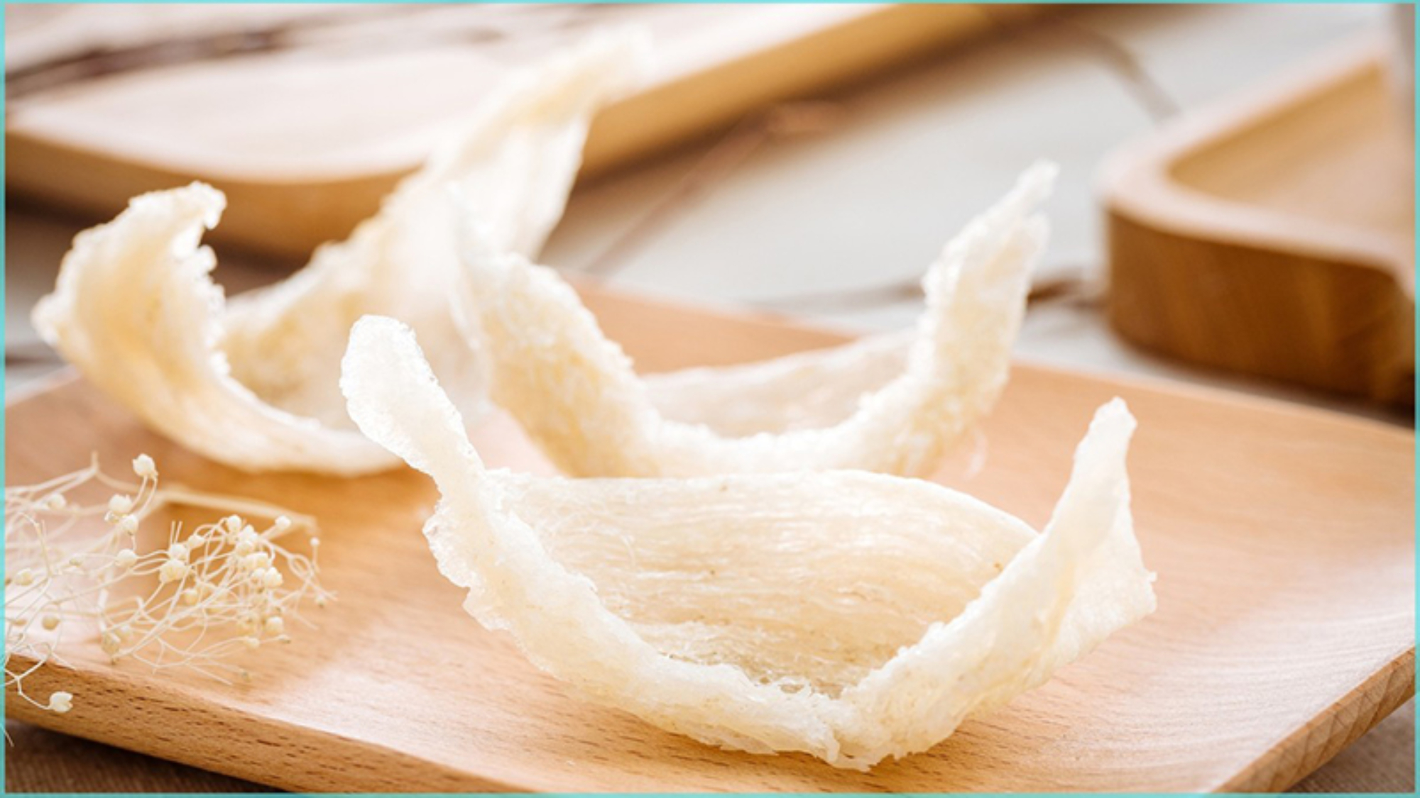 yen-sao-Khanh-Hoa-co-tot-khong-dia-diem-mua-yen-sao-chat-luong-chinh-hang-yensaovinhphuoc (1)