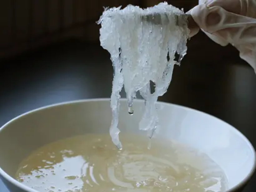 to-yen-sao-sau-khi-ngam-nuoc-de-duoc-bao-lau-yensaovinhphuoc (2)