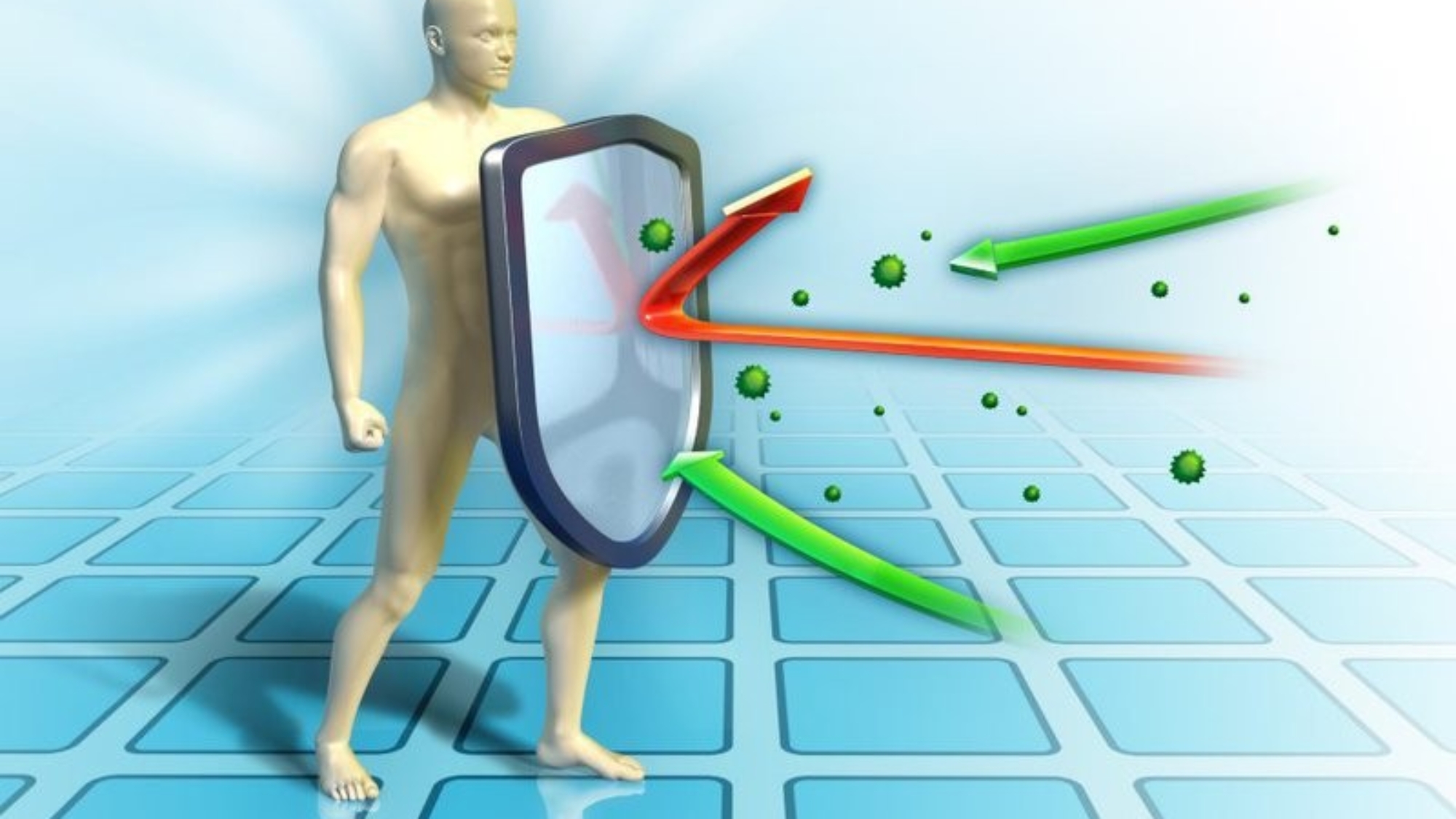 nhung-thuc-pham-tang-cuong-de-khang-nang-cao-mien-dich-yensaovinhphuoc (2)