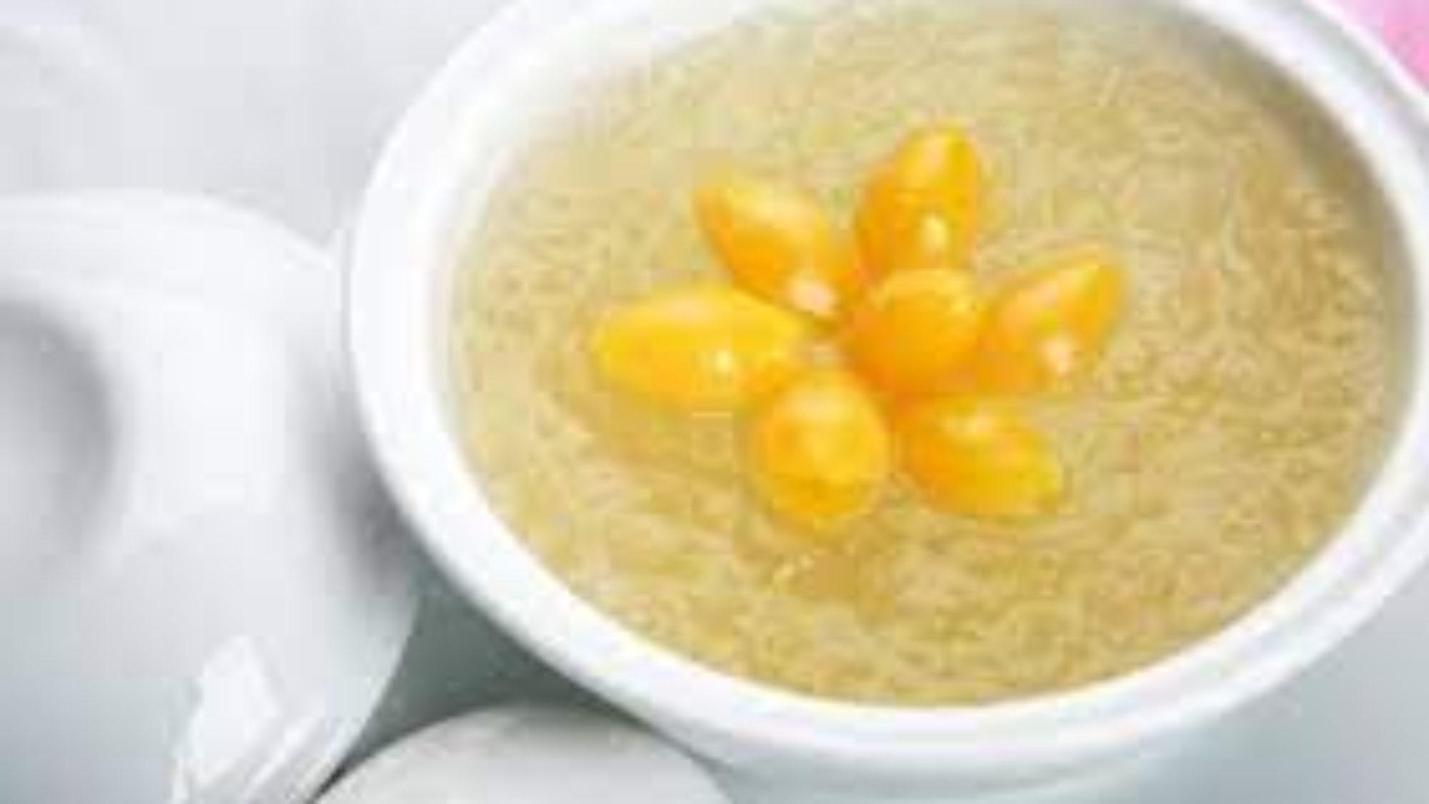 che-bien-yen-sao-chung-bach-qua-ginkgo-biloba-dung-cach-bo-duong-yensaovinhphuoc (1)