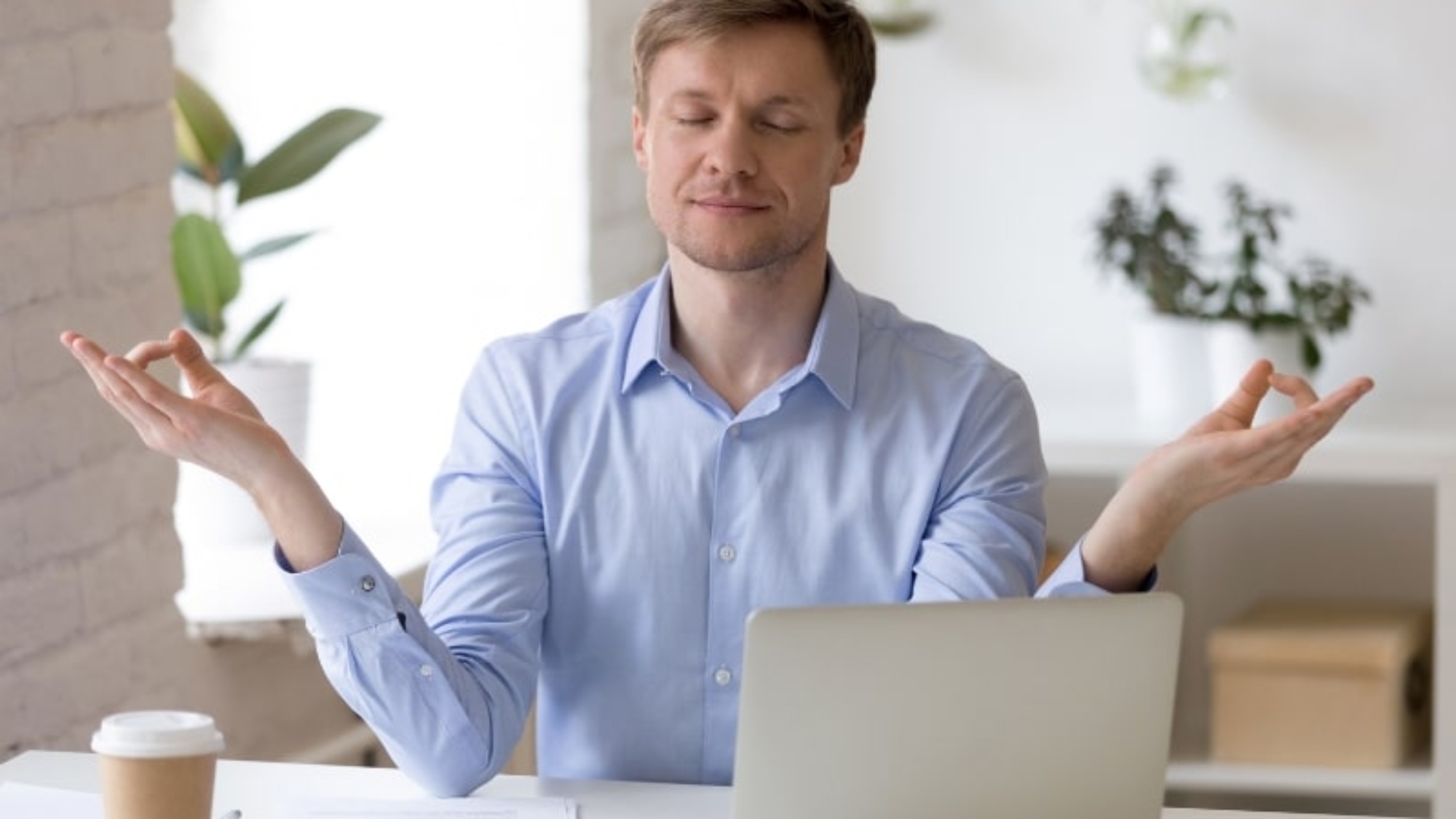 tac-dung-cua-yen-sao-voi-nam-gioi-giup-cai-thien-tri-nao-giam-stress