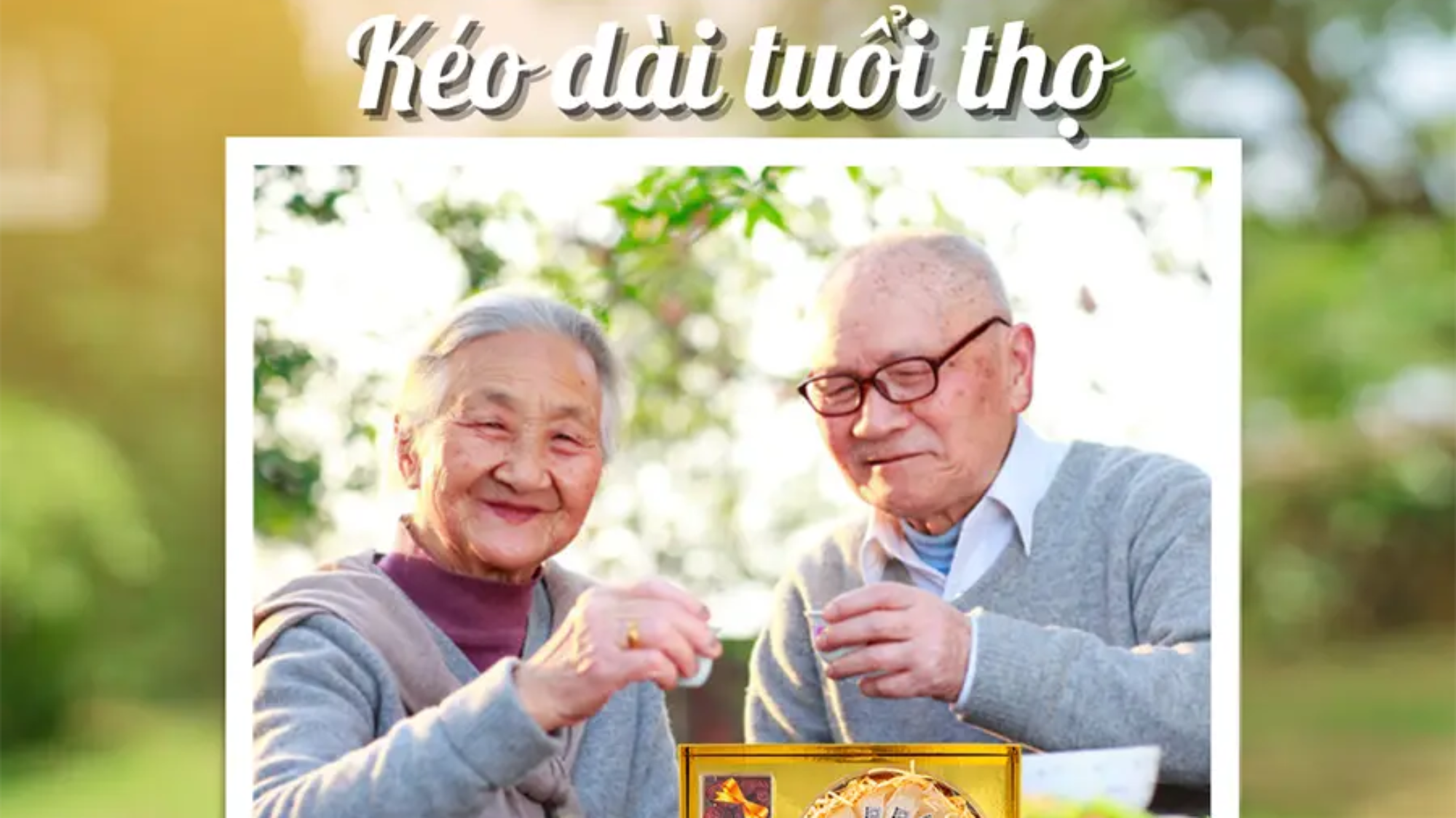 yến sào - kéo dài tuổi thọ yensaovinhphuoc.vn