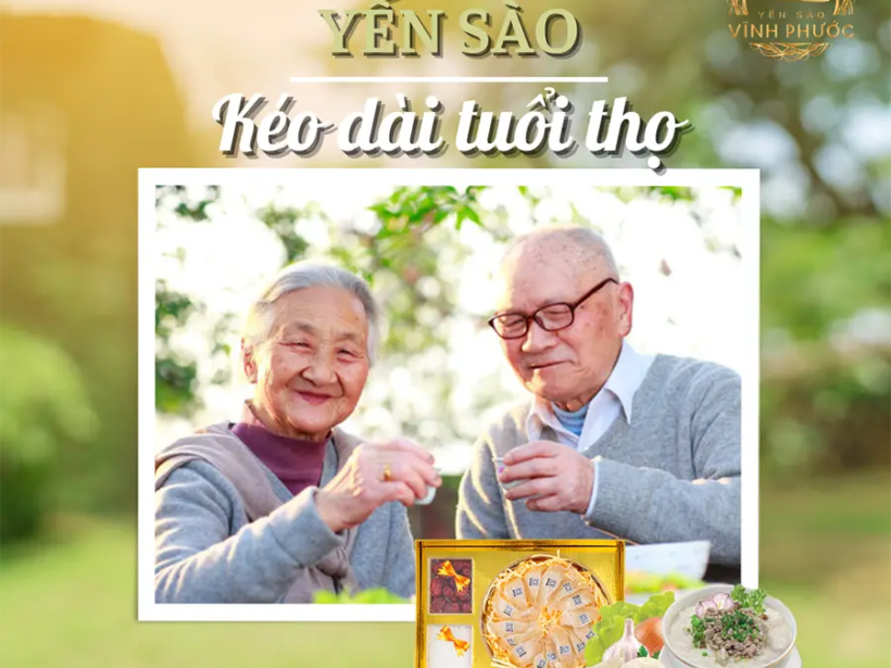 yến sào - kéo dài tuổi thọ yensaovinhphuoc.vn