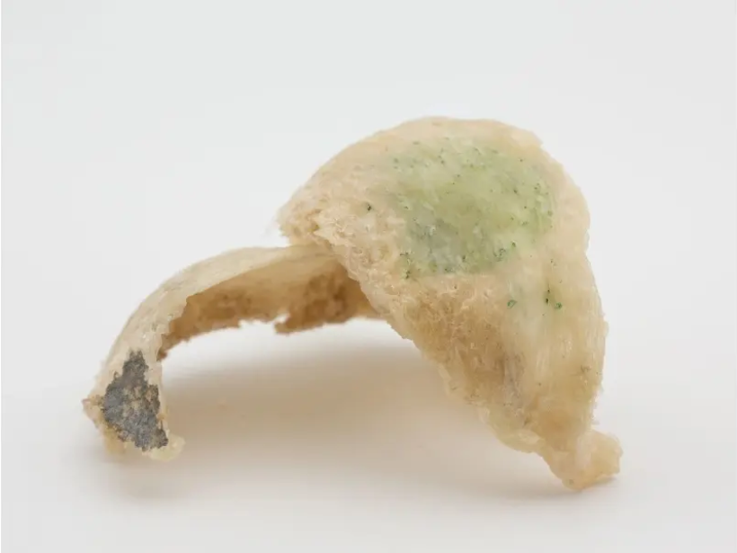 dau-hieu-nhan-biet-yen-sao-bi-hu-va-cach-bao-quan-yensaovinhphuoc (2)