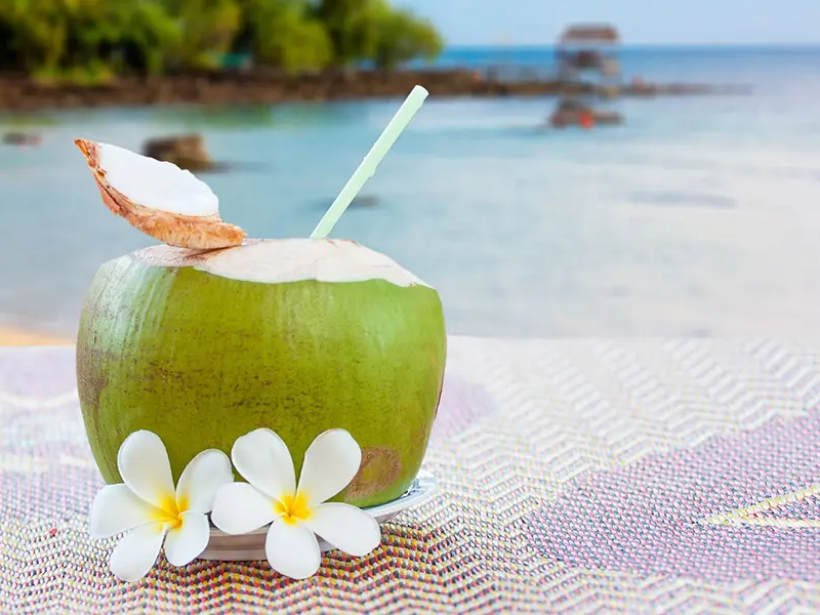 loi-ich-cua-nuoc-dua-cach-che-bien-yen-sao-chung-nuoc-dua-don-gian-tai-nha-yensaovinhphuoc (2)