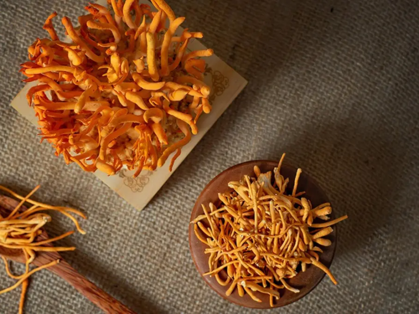 dong-trung-ha-thao-la-gi-cong-dung-cua-dong-trung-ha-thao-doi-voi-suc-khoe-yensaovinhphuocvn