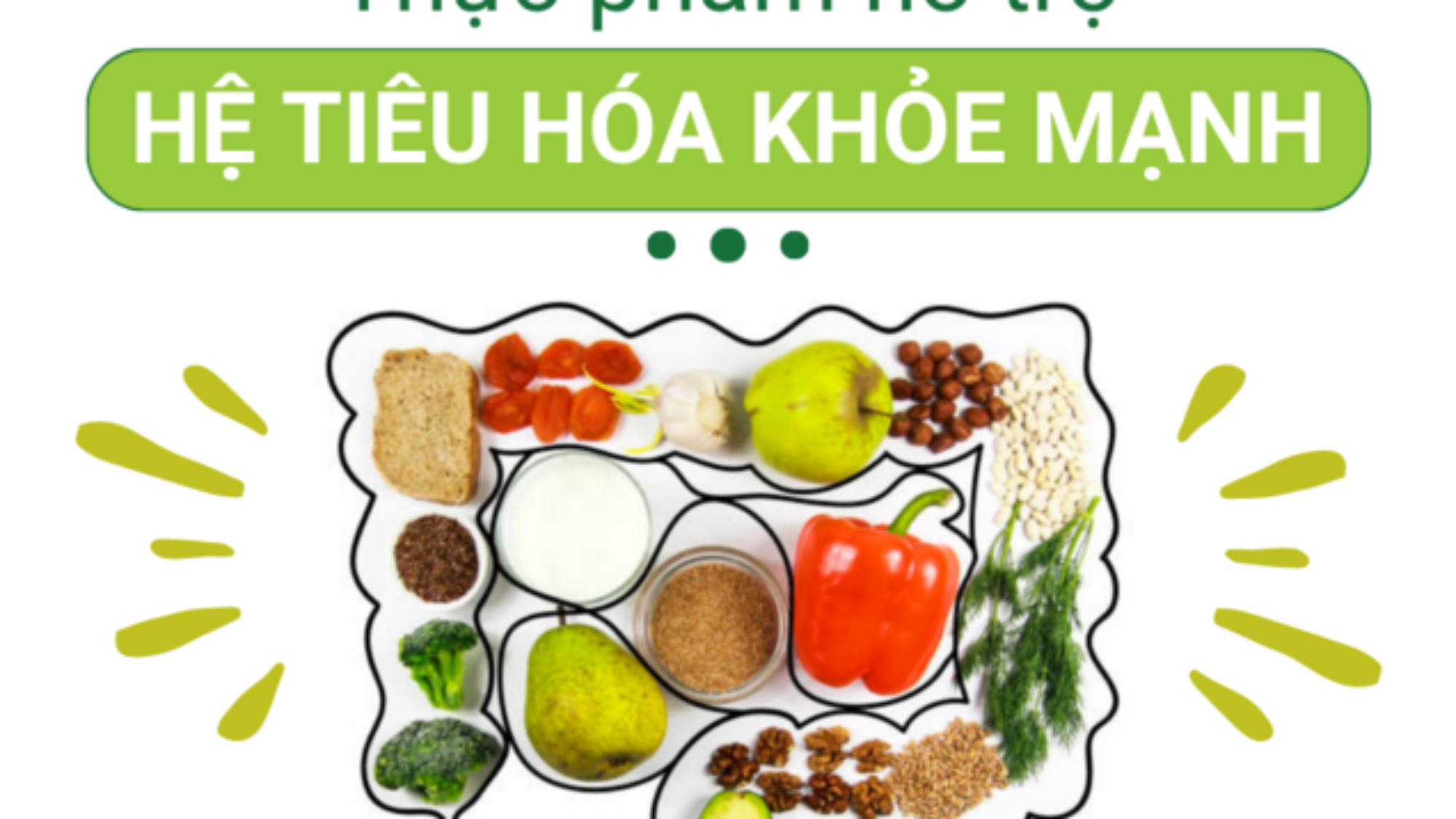 nhung-thuc-pham-cai-thien-tieu-hoa-ma-ban-khong-nen-bo-qua-yensaovinhphuoc (1)