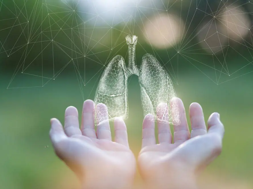 cach-su-dung-yen-sao-tot-cho-phoi-yensaovinhphuocvn (1)