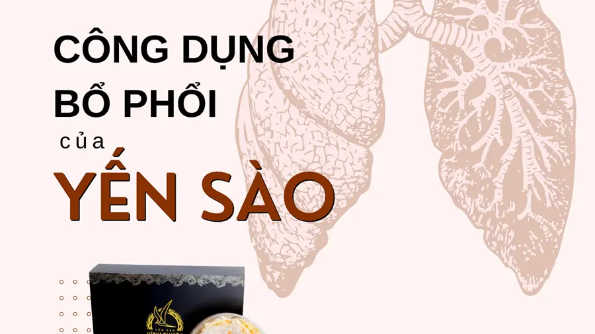 cong-dung-cua-yen-sao-doi-voi-phoi-yensaovinhphuoc (2)