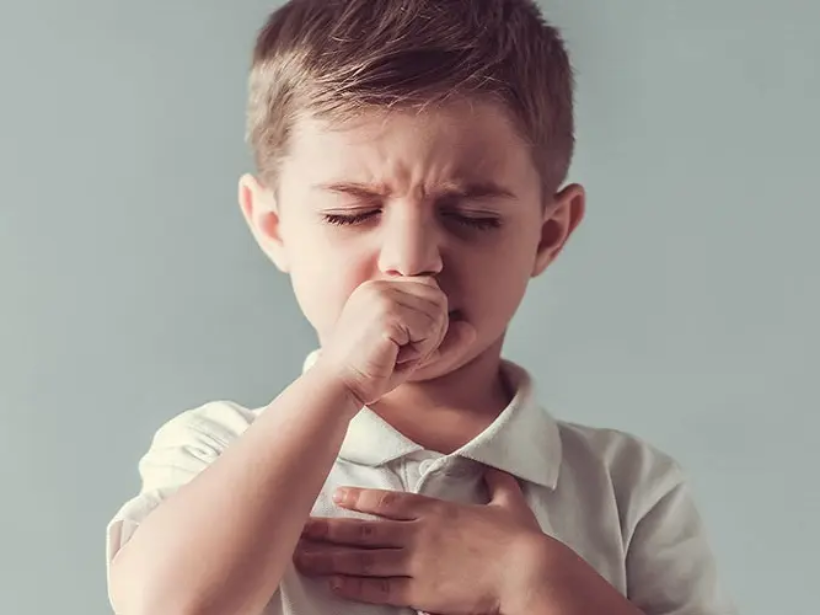 be-bi-ho-cach-chung-yen-cho-be-vua-de-an-vua-tri-ho-hieu-qua-yensaovinhphuocvn (3)