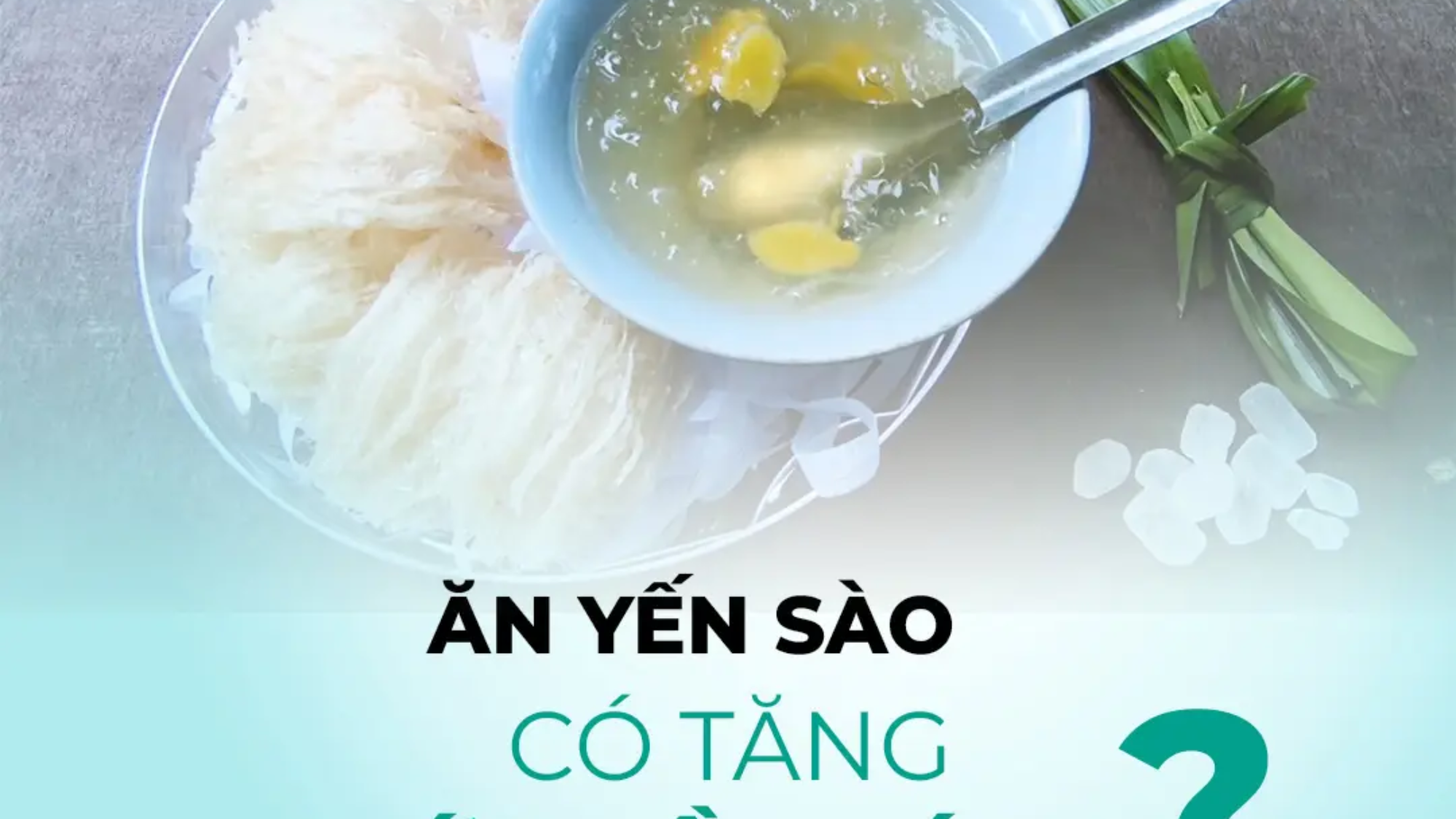 yen-sao-co-that-su-tang-cuong-mien-dich-va-phong-benh-khong-yensaovinhphuocvn (2)