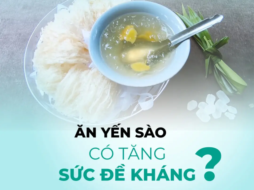 yen-sao-co-that-su-tang-cuong-mien-dich-va-phong-benh-khong-yensaovinhphuocvn (2)