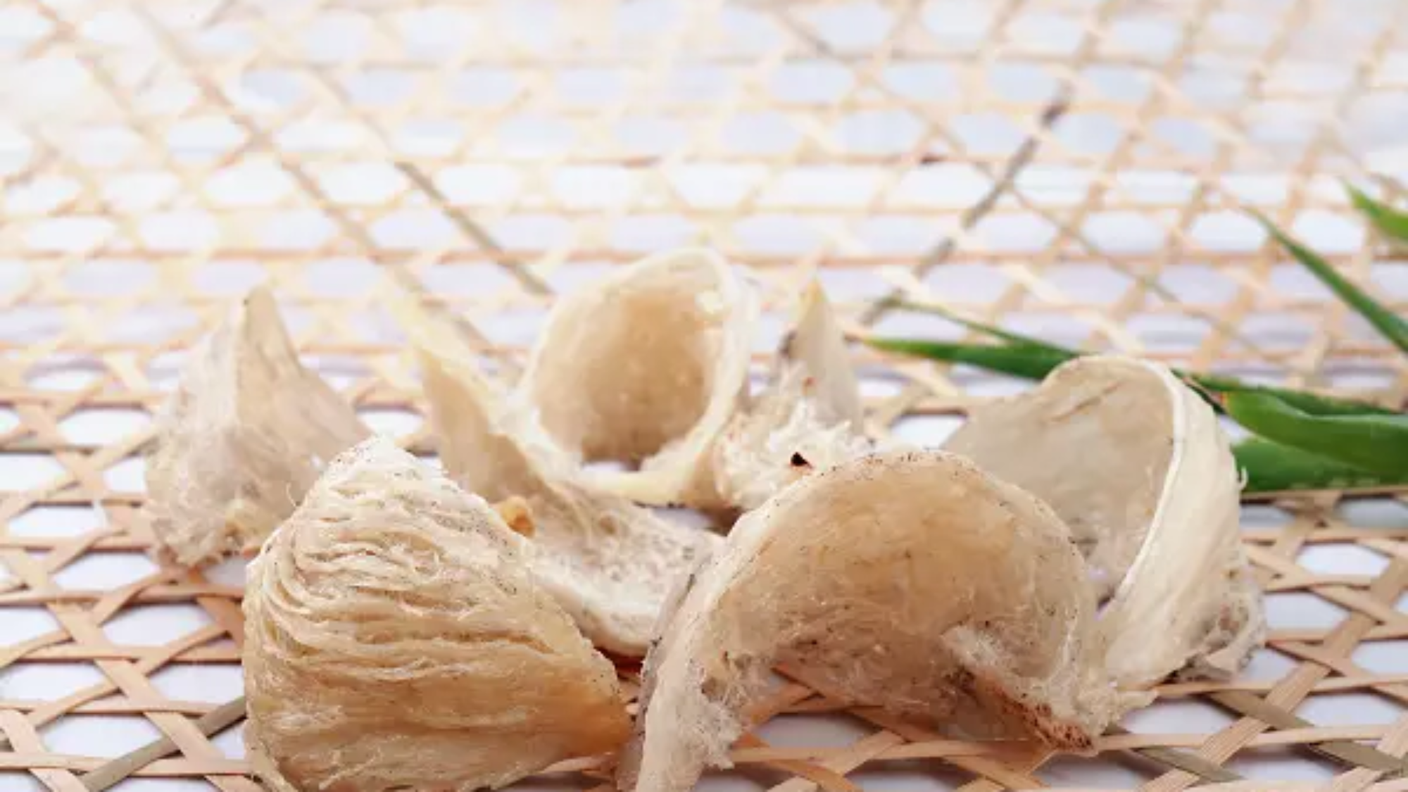 yen-sao-va-bi-quyet-giu-dang-dep-da-yensaovinhphuocvn (1)