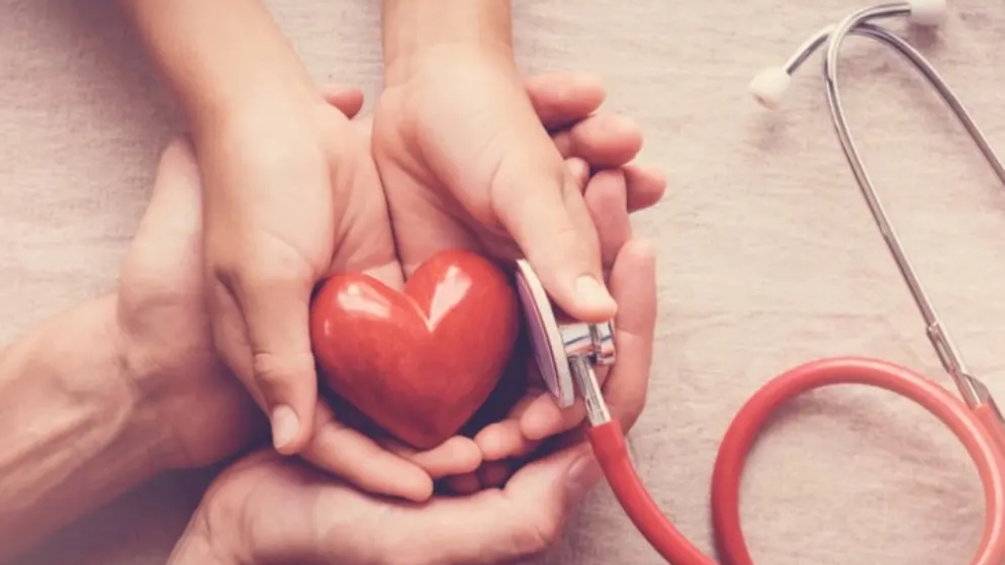 yen-sao-va-suc-khoe-tim-mach-co-that-su-dang-tin-cay-yensaovinhphuocvn (1)